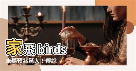 家中 飛 來 鳥|【鳥來家裡】「家中突然來了一隻鳥，你知道它帶來了。